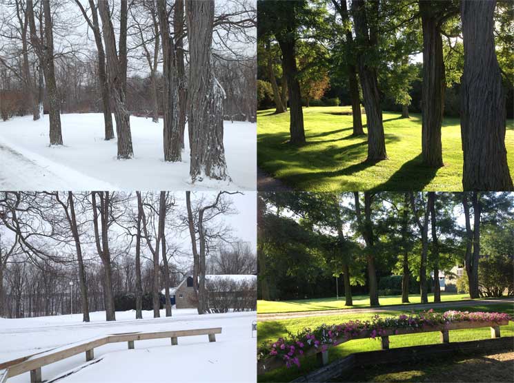 Franklands Farm Grounds in Winter and Last Spring
