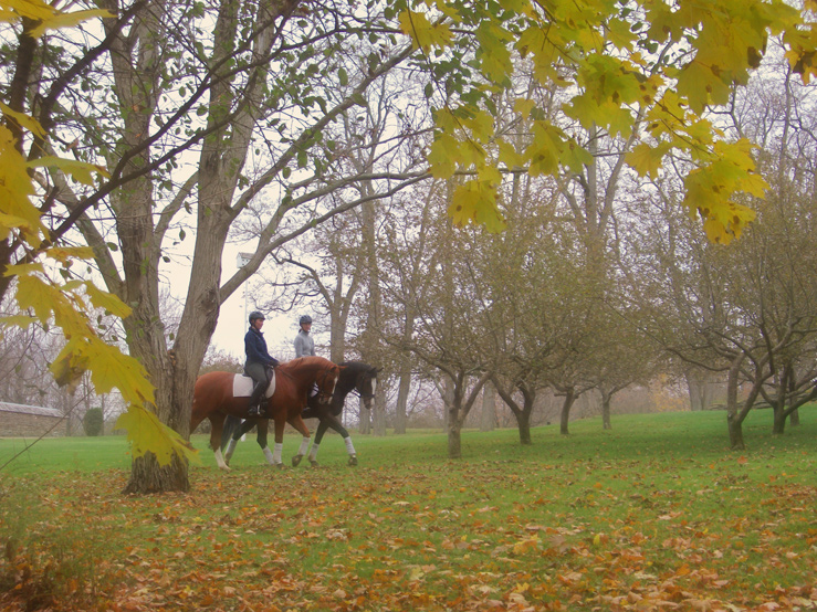 Franklands Farm Fall 2011